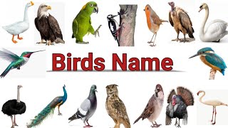 Birds Name, 20 birds name, birds name  with pictures and spelling #birds @TheLearningUniverse11