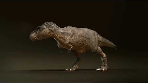 T-Rex. Animation test