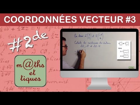 Appliquer des formules sur les coordonnées des vecteurs - Seconde