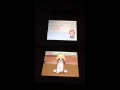 Nintendogs championship obedience trial