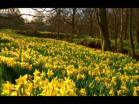 Spring Equinox