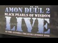 Capture de la vidéo Amon Düül Ii – Live At The Astoria Theater, London 1996 5.1 Surround