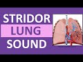 Stridor Sound vs Wheezing Breathing Sounds Abnormal Lung Sounds