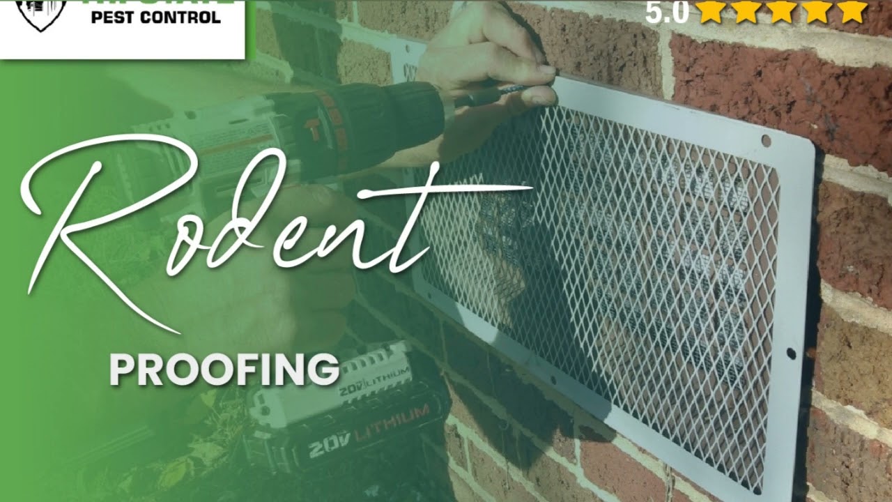 Tri-State Pest Control NYC: Your Local Expert Exterminators for Rodents & Bed Bugs