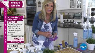 CleanBoss by Joy MultiSurface Disinfectant   Cleaner 4pa...