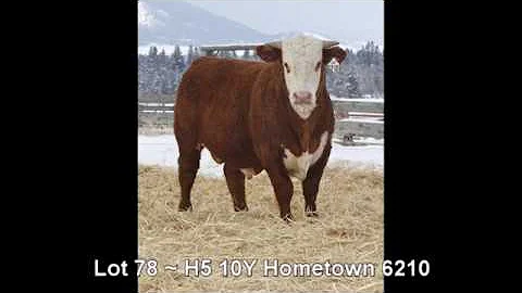Lot 78 ~ H5 10Y Hometown 6210