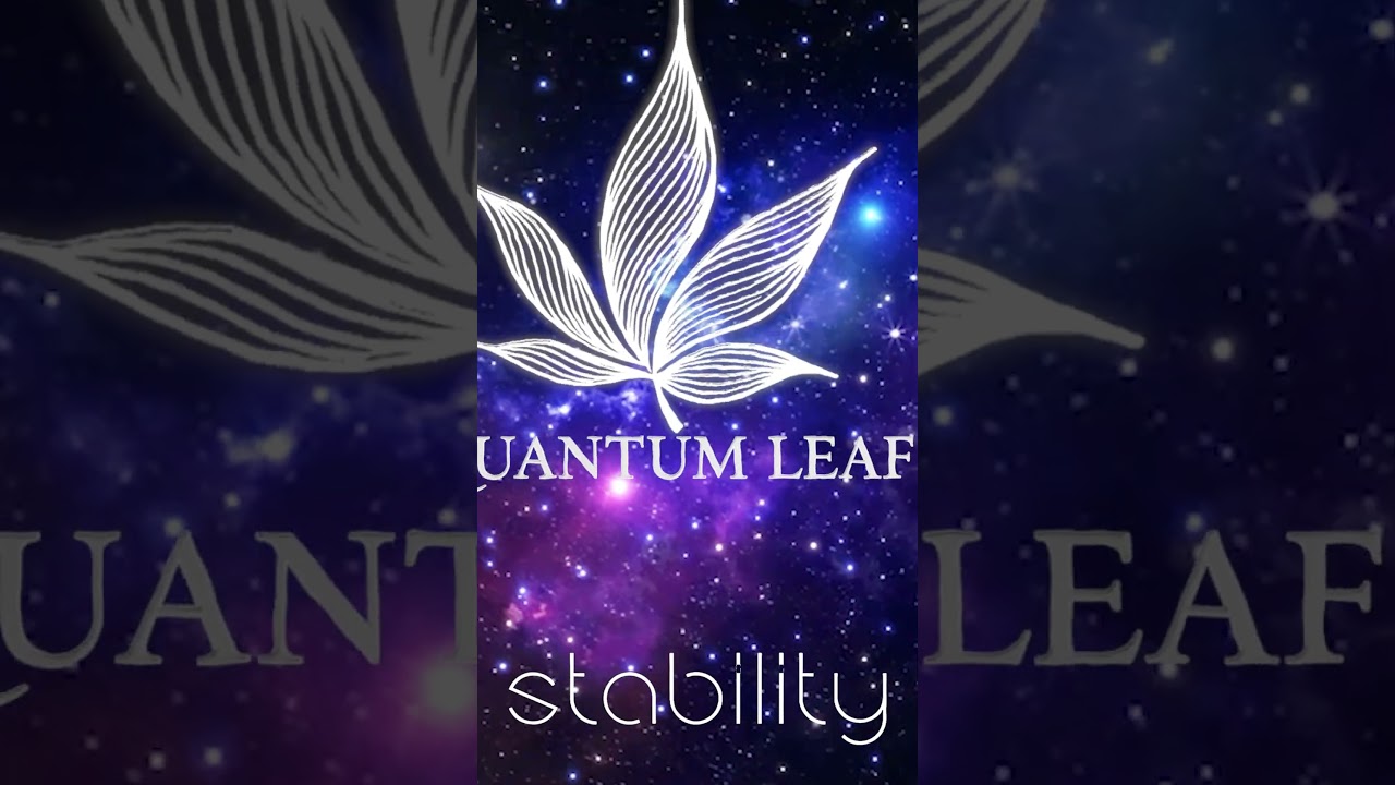 Want Quantum Leaf? We Got It! #stabilitycannabis #stability.cannabis