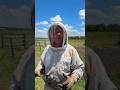 How Honey Is Aged In Bourbon Barrels
