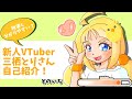 簡単すぎる新人VTuberな自己紹介