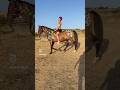 Caballo indio – trash art, street artist Barcellona, street art video Barcelona