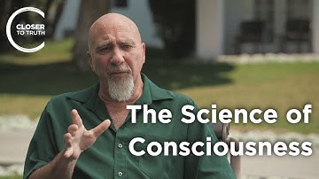 Stuart Hameroff - The Science of Consciousness: Quantum Mechanics and Spirituality