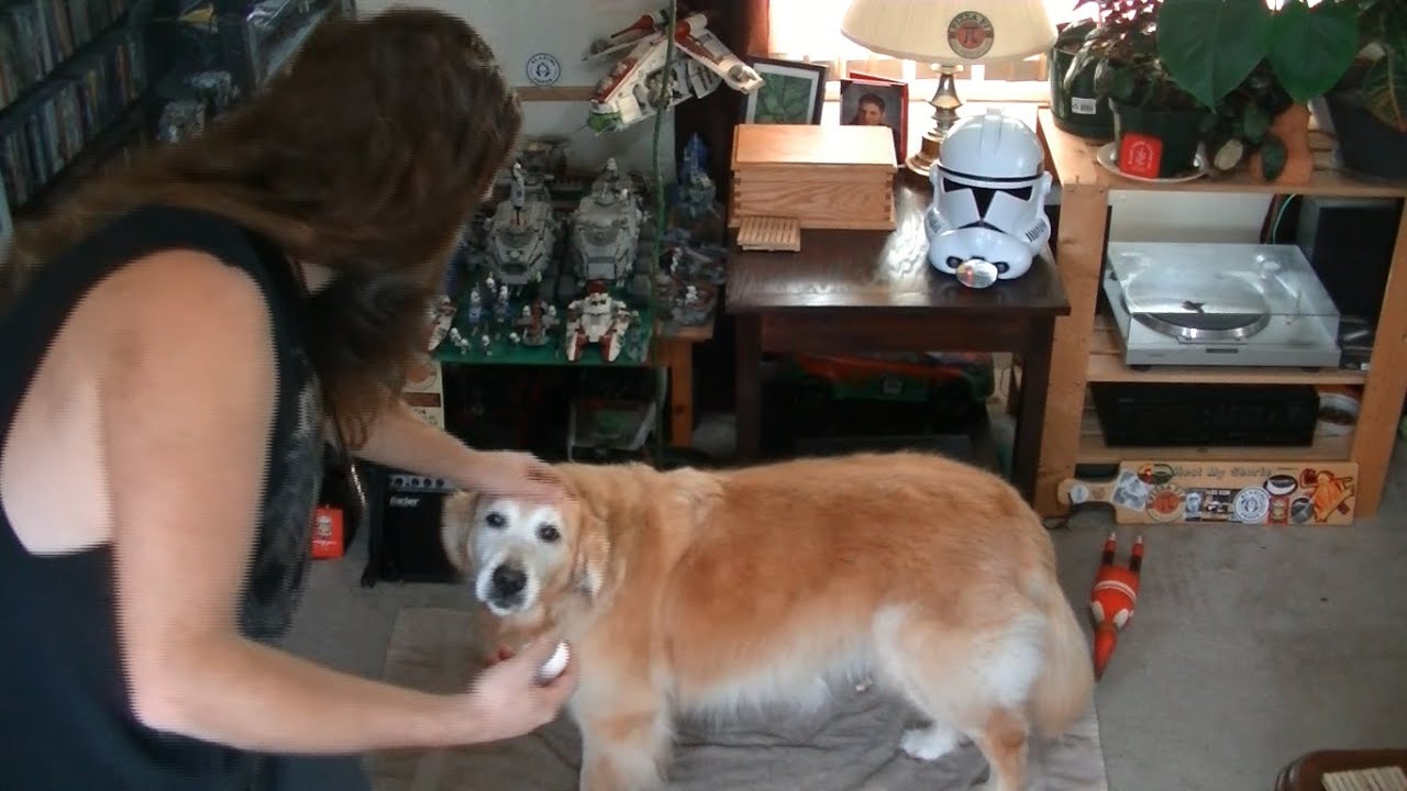 Maggie's Egg Challenge! Her 2nd Attempt!! Will she succeed? Or will she