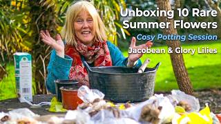 Unboxing 10 Rare Summer Flowers & Cosy Potting Session || Jacobean & Glory Lilies