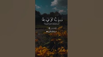 تلاوة هادئة من سورة الاعراف بصوت القارئ عامر الضاهر |(قَدِ افْتَرَيْنَا عَلَى اللَّهِ كَذِبًا)#reels