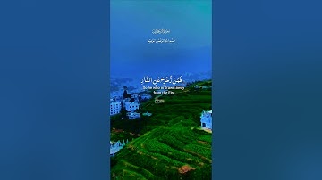 تلاوة خاشعة قرأن كريم راحة نفسية #elmulquranعلم #اكسبلور #تلاوة #aslam #duet  #trend #قران_كريم