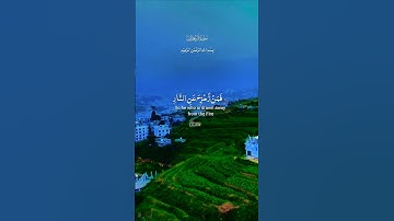 تلاوة خاشعة قرأن كريم راحة نفسية #elmulquranعلم #اكسبلور #تلاوة #aslam #duet  #trend #قران_كريم