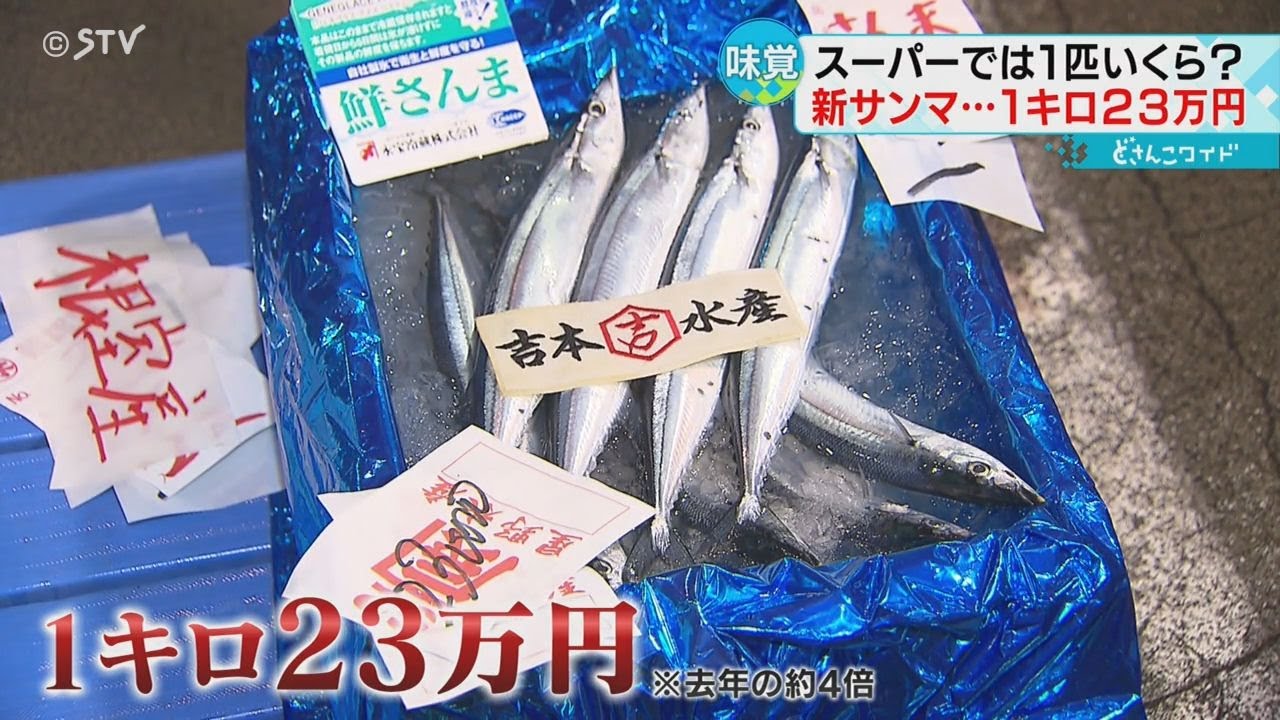 1匹5千円以上！初競りの超高級サンマをスーパーで販売 その行き先は