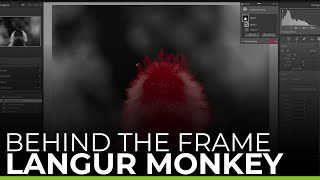 Behind The Frame | LANGUR MONKEY screenshot 2