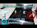 Elimina la grasa de tu cocina - Ahuyenta las cucarachas