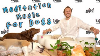 Sound Bath for Dogs  Dog Anxiety Music ? Crystal Singing Bowls 4 Puppies  ? Dog TV  Dog Meditation