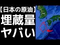 【衝撃】第７鉱区に眠る「日本の資源」がとんでもなくヤバい・・・