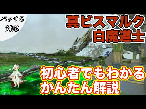 【FF14】真ビスマルクにヒーラー(白魔道士)で挑戦【蒼天のイシュガルド討滅戦 パッチ5】