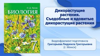 Тема 39. Дикорастущие растения. Съедобные и ядовитые дикорастущие растения