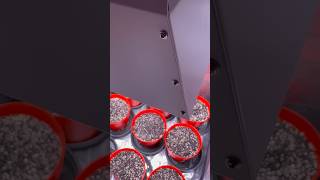 Growing Cannabis Day 5: The "Planted Date" Counting Method & Watering Routine #growitforward