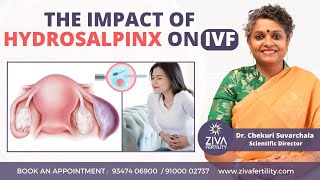 Impact Of Hydrosalpinx On IVF || Female Infertility || Dr C Suvarchalaa || ZIVA Fertilityy