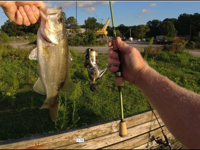 TFO trout/panfish series 2 unboxing and field test 