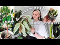 10 exciting things going on in my 200 plant collection  may updates
