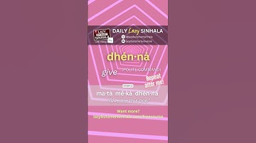 Give in Sinhala | Daily Lazy Sinhala | Learn Sinhala | Lazy But Smart Sinhala #learnsinhala #sinhala