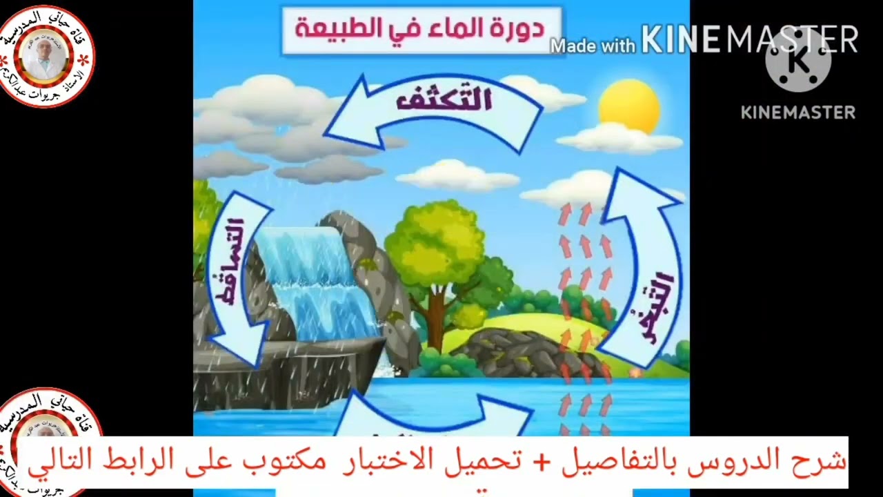 السنة الرابعة ملخصات التربية العلمية الفصل الثاني