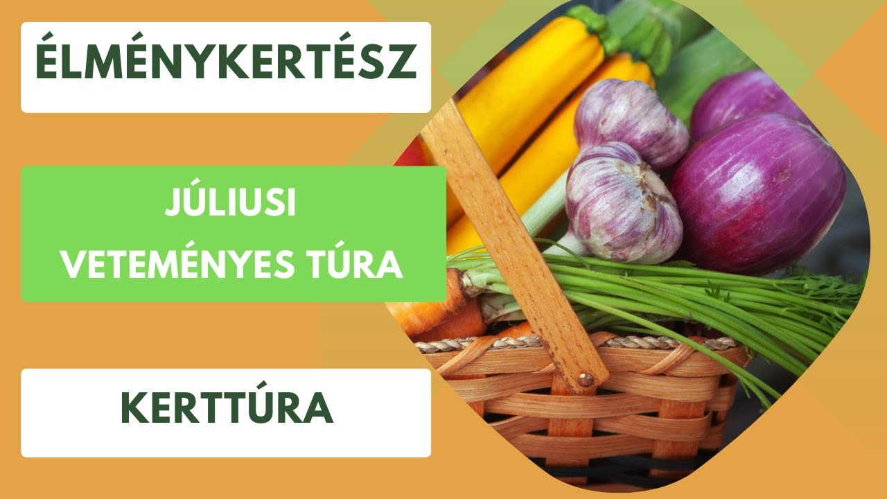 Veteményes túra július közepén🍅🥒🐝