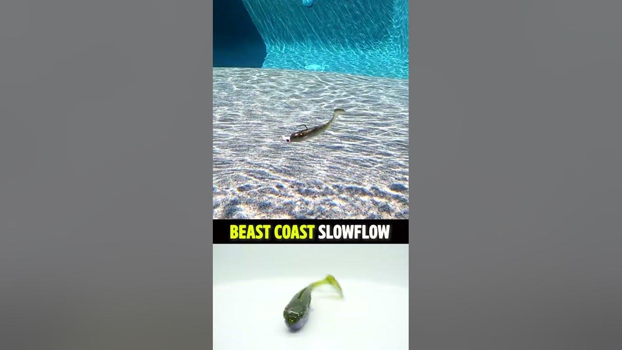 Beast Coast Slowflow Bass Fishing Soft Plastic Swim Bait #shorts 
