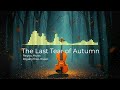 The Last Tear of Autumn가을의 마지막 눈물 / solo violin / #royaltyfreemusic #nocopyrightmusic #violinmusic