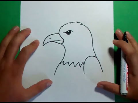 Como dibujar un aguila paso a paso 3 