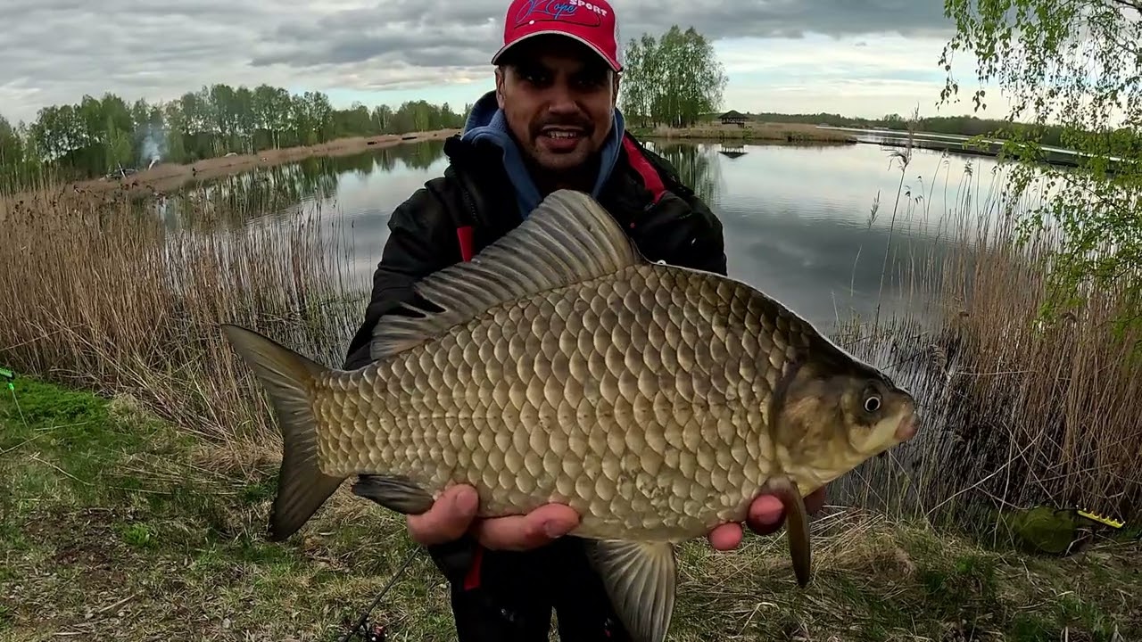 ловля крупных карасей в латвии НА ПОПЛАВОК (Arves Ezers ) + бонус  GROUNDBAITS Sweet Marzipan Garlic
