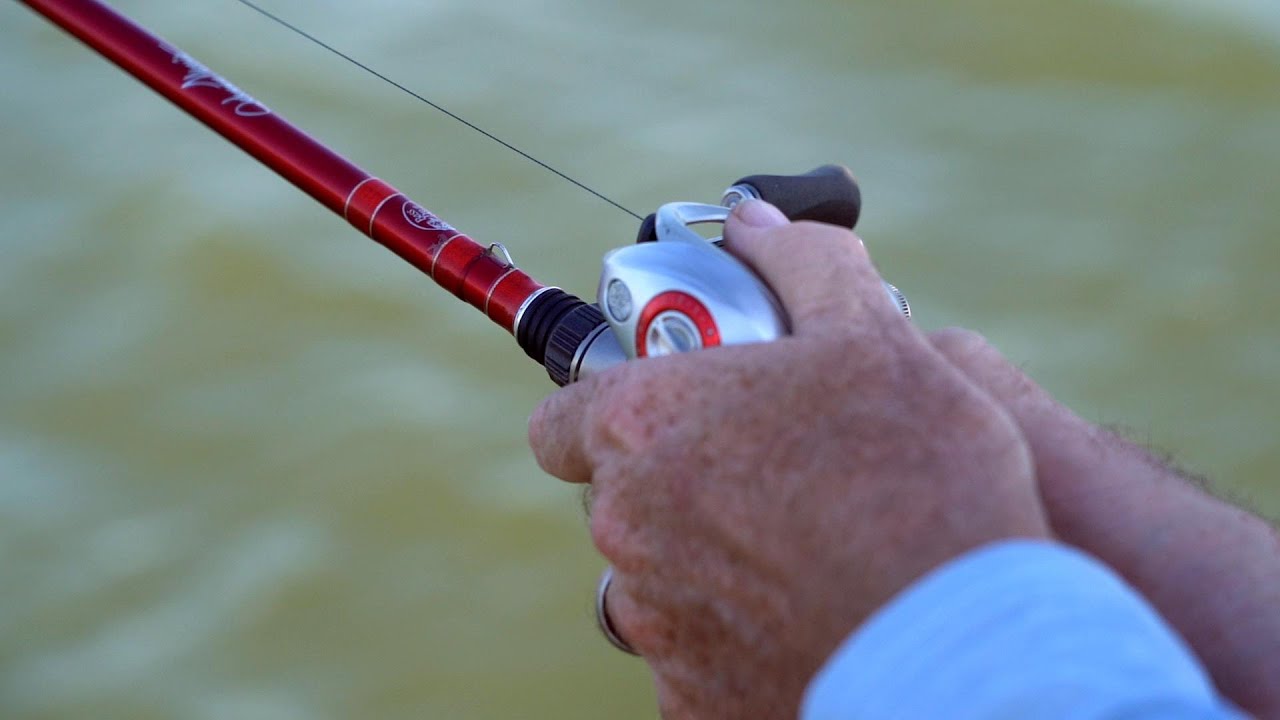 What Type of Line Should You Use When Fishing a Topwater Bait for