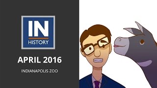Inhistory Episode 11 The Indianapolis Zoo Ingov