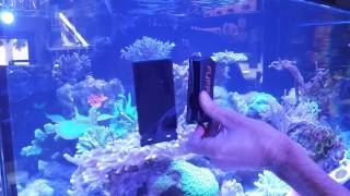 Flipper aquarium cleaner demonstration