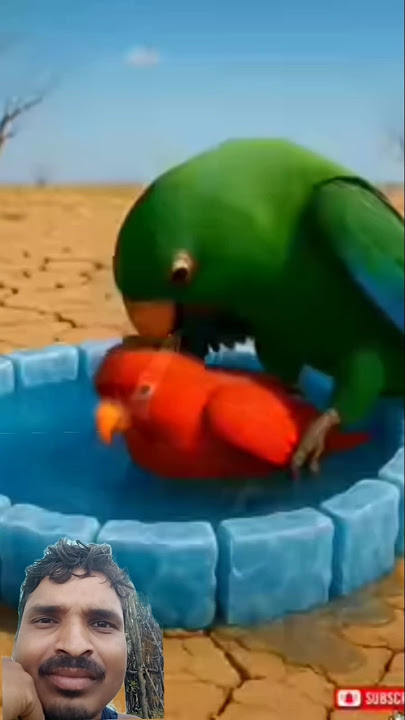 The parrot helps red parrot 😱 #ai​ #parrot​
