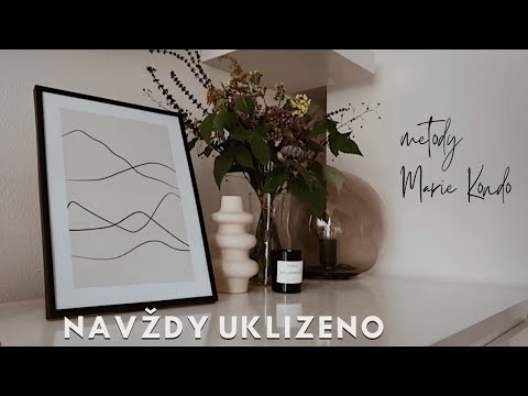 Video: Jak Uspořádat úklidový Den