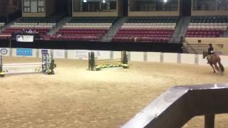 Mid Atlantic Equitation Finals - Moby