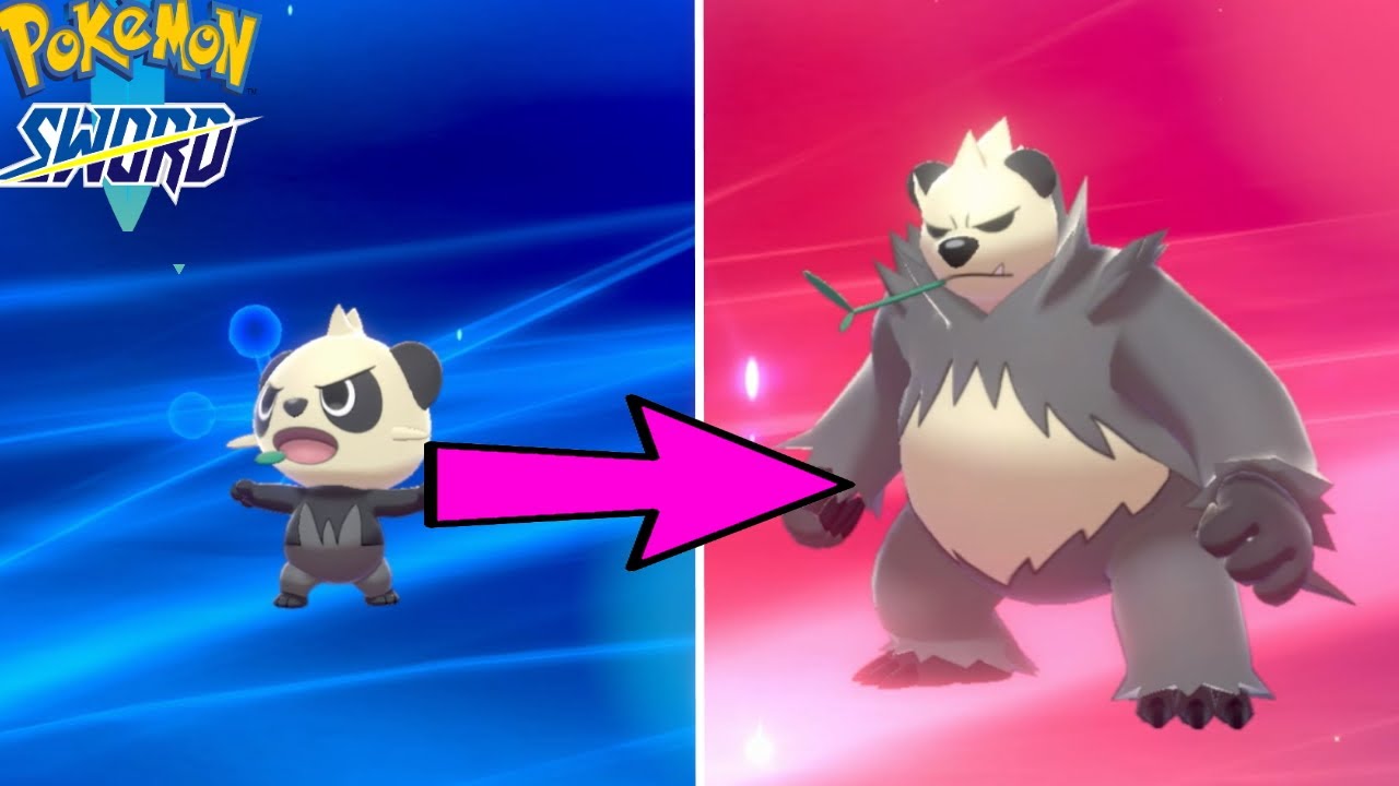 How To Evolve Pancham In Pokemon Sword And Shield - Nintendo Switch Walkthrough Gameplay