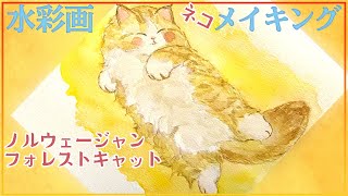 【原画販売】ノルウェージャンフォレストキャットの水彩画 mqdefault.jpg