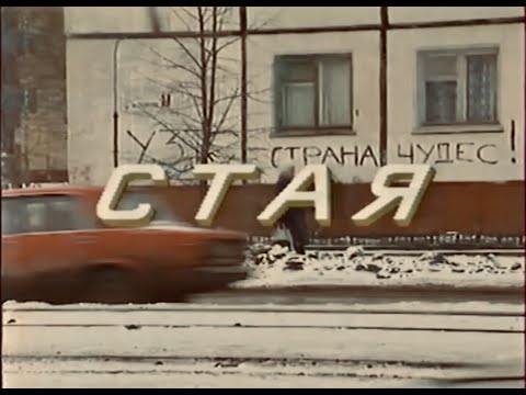 СТАЯ | Телеочерк о подростковых группировках Ульяновска. 1991