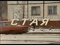 СТАЯ | Телеочерк о подростковых группировках Ульяновска. 1991