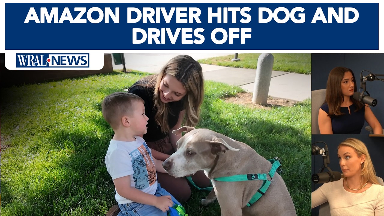 5 On Your Side: WRAL helps family after Amazon driver hits dog, causing ...