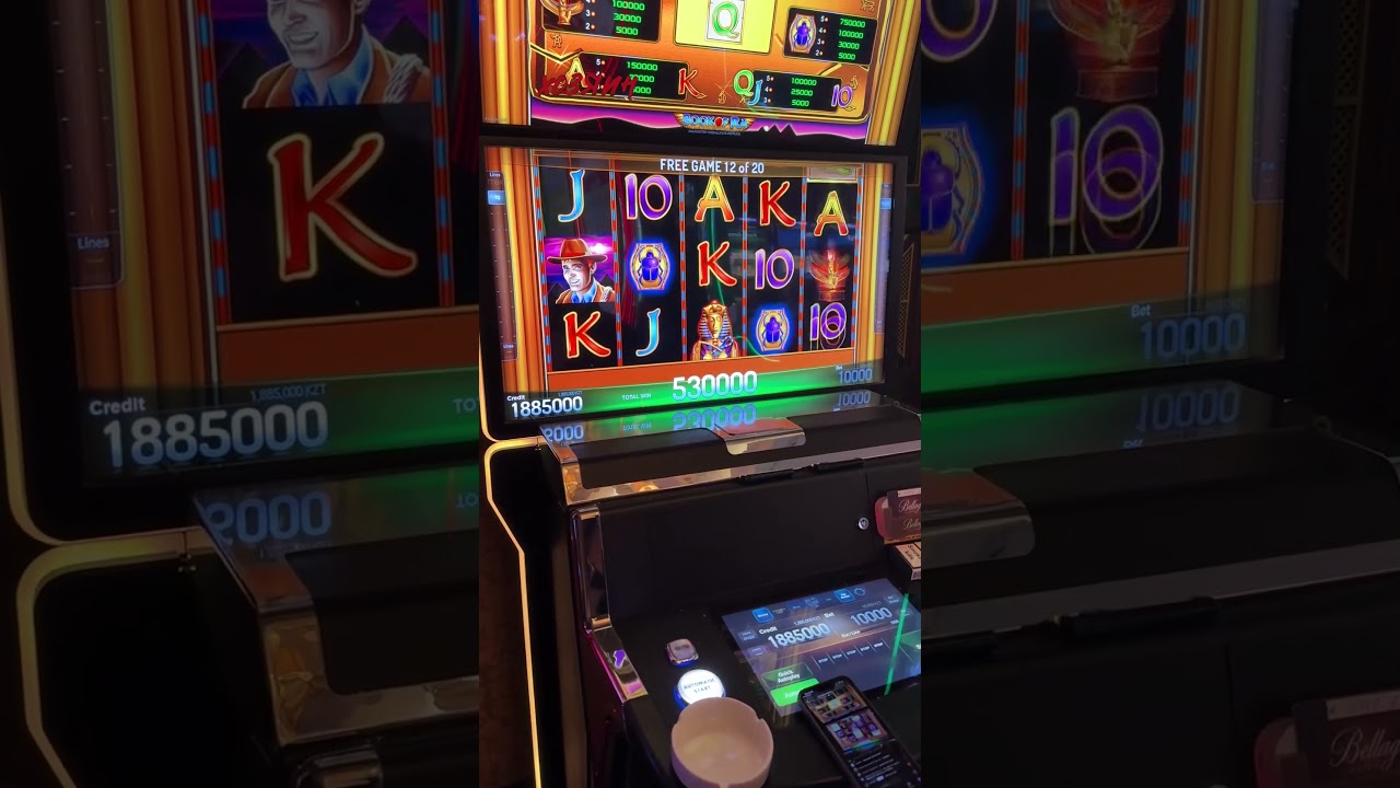 КНИЖКА-ДУРА Book of Ra! 